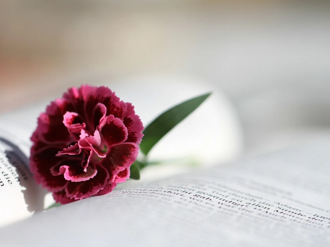 An-open-bible-with-flower-a-faith-gift-to-your-spouse