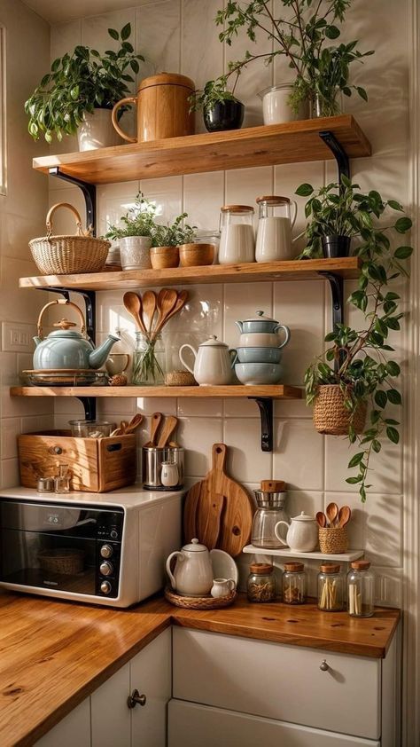 Floating-shelves--for-kitchen-display-small-potted-herbs-mugs-and-container