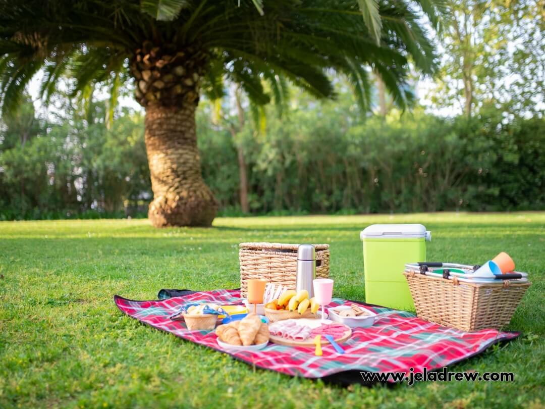 baskets-fruits-blankets-and-treats-under-a-tree