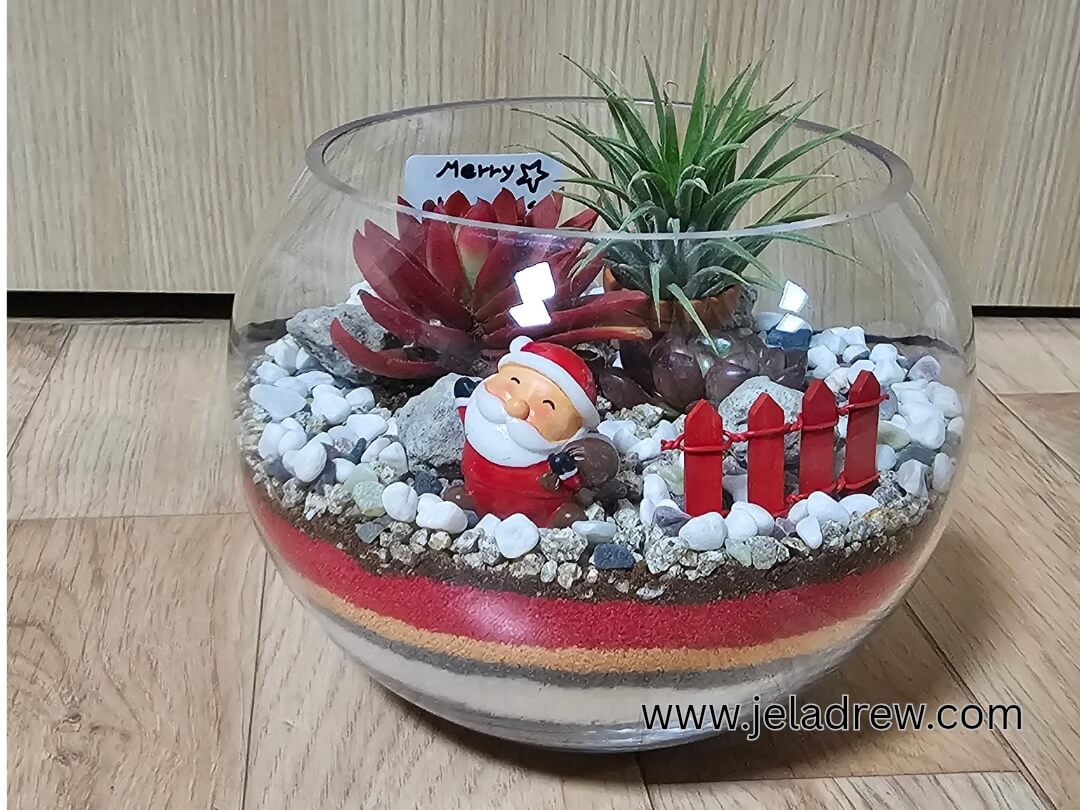 terrarium-mini-tree-figurine-pincone-on-the-table