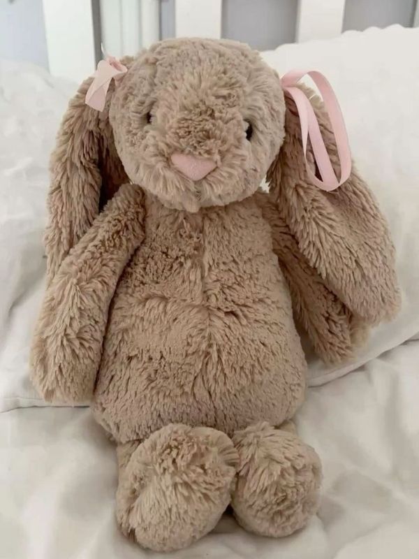 The-Ultimate-Guide-to-College-Jellycat-Plushies