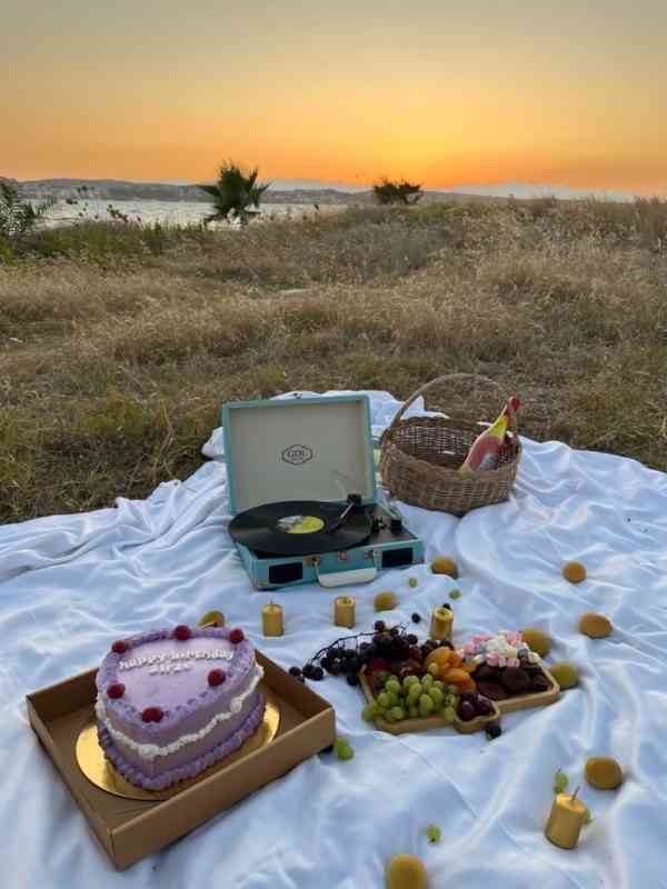 Picnic