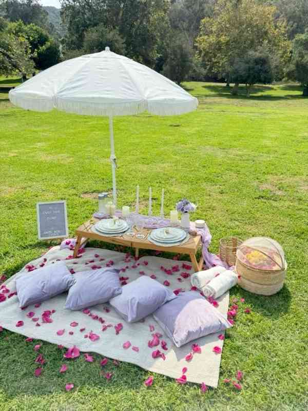 Picnic