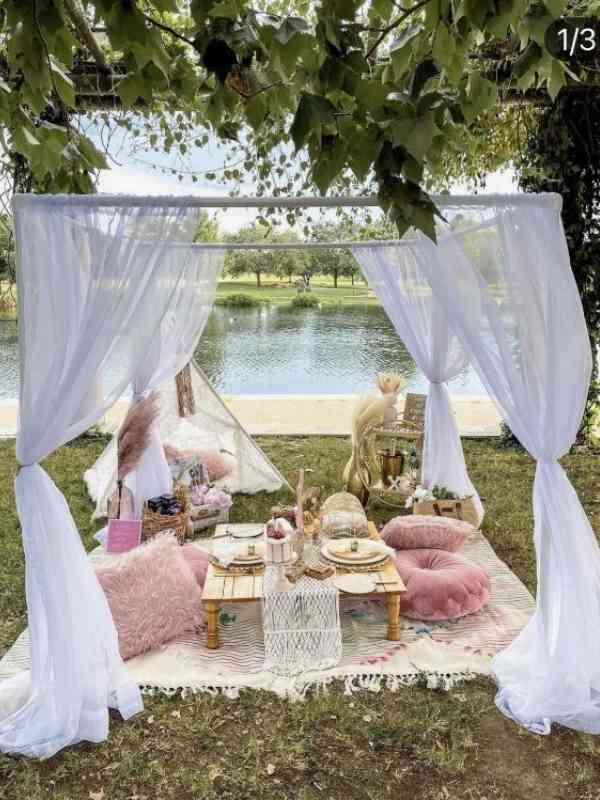 Picnic