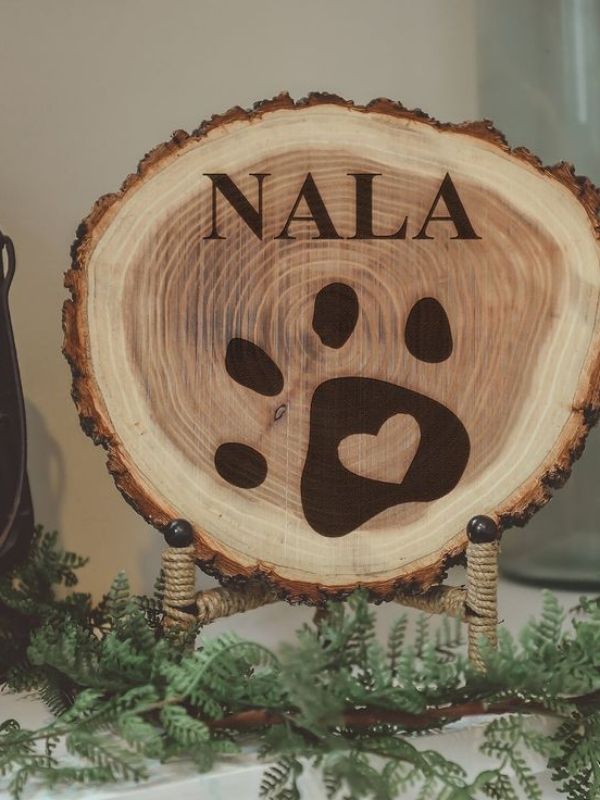Dog-Paw-Print-Craft-Idea- to-Make-Sweet-Keepsakes-With-Your-Pup
