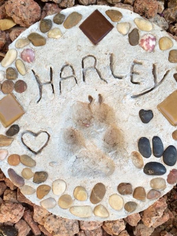 Dog-Paw-Print-Craft-Idea- to-Make-Sweet-Keepsakes-With-Your-Pup