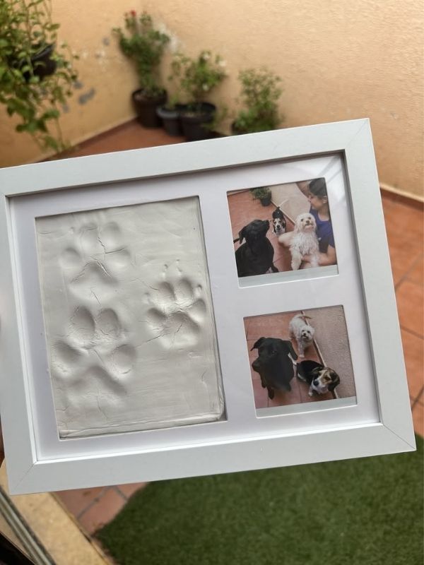 Dog-Paw-Print-Craft-Idea- to-Make-Sweet-Keepsakes-With-Your-Pup