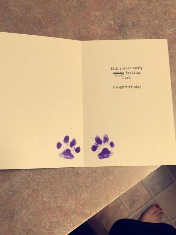 Dog-Paw-Print-Craft-Idea- to-Make-Sweet-Keepsakes-With-Your-Pup