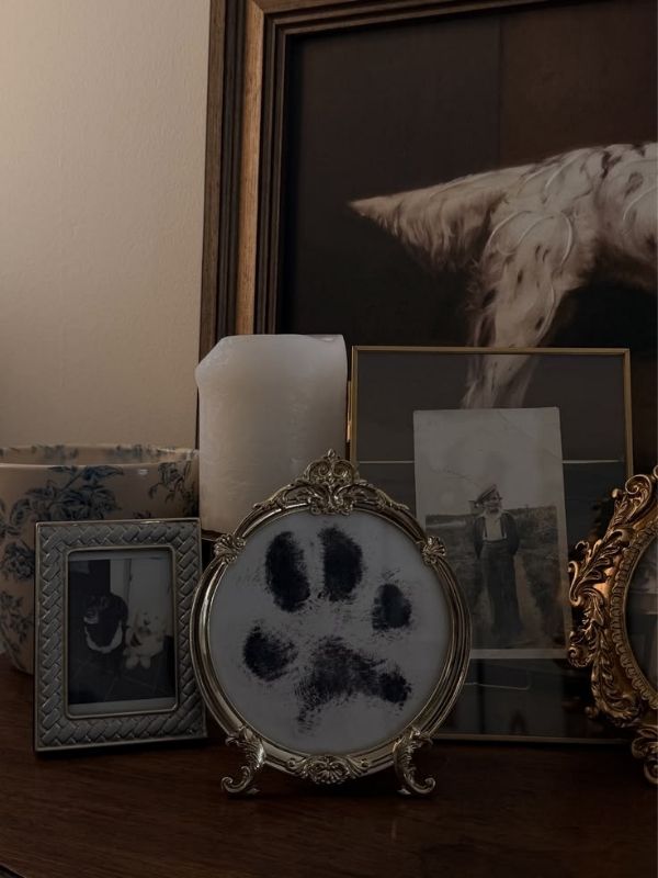 Dog-Paw-Print-Craft-Idea- to-Make-Sweet-Keepsakes-With-Your-Pup