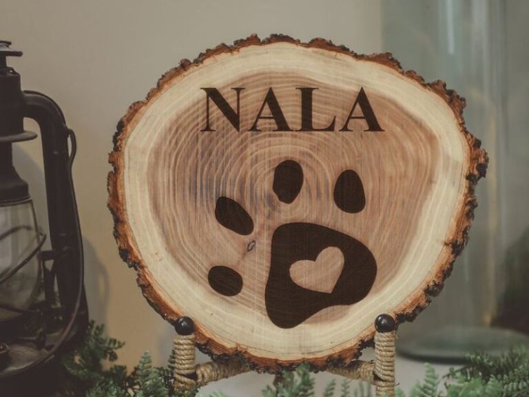 Featured-image-on-Dog-Paw-Print-Craft-Idea- to-Make-Sweet-Keepsakes-With-Your-Pup