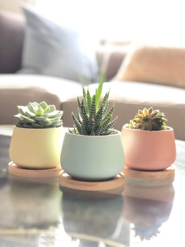 Party-Favor-Gift-Ideas-for-Guests-of-All-Ages