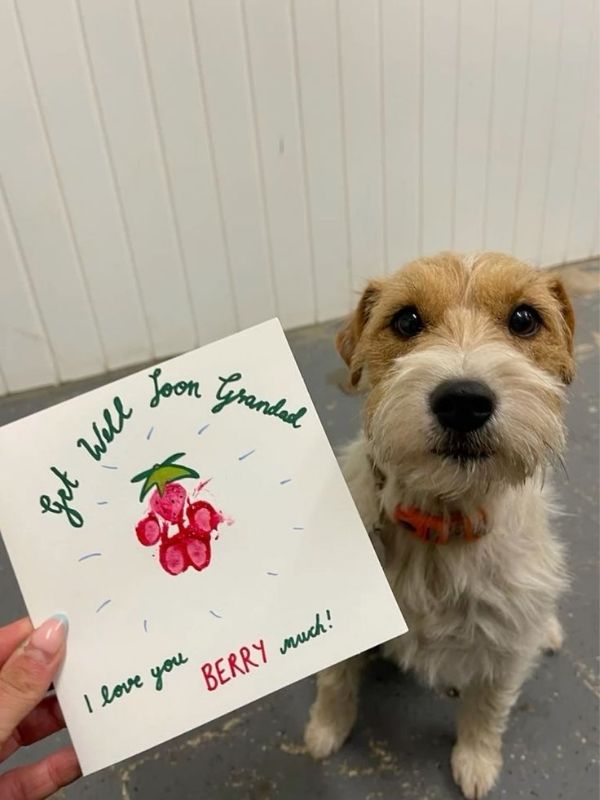 Pup