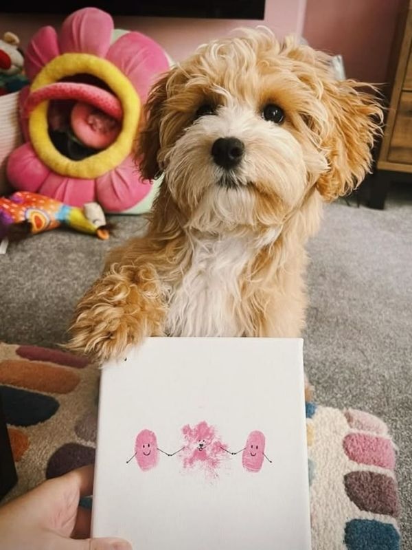Pup